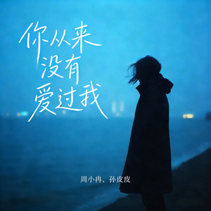 你从来没有爱过我 (童声对唱版)