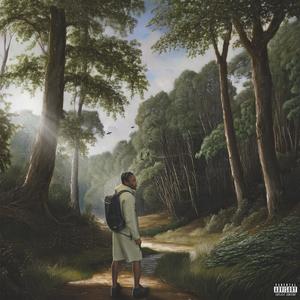 What Would You Do? (feat. Daedae) (Explicit)