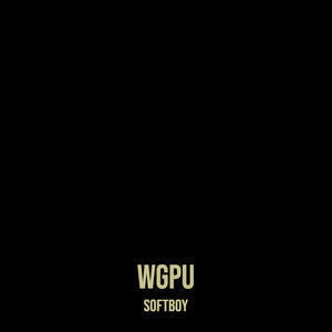 Wgpu (Explicit)