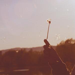 nostalgie (feat. smurve) (Explicit)