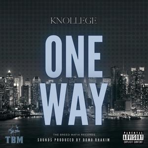 One Way (feat. Knollege) [Explicit]