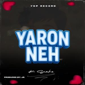 Yaron Neh