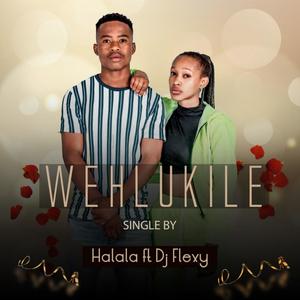 Wehlukile(feat. Dj Flexy) (Radio Edit)