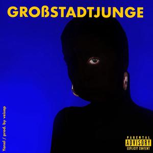 Großstadtjunge (feat. veisap) (Explicit)