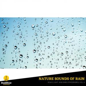 Nature Sounds of Rain - Dewy, Light and Dark Atmospheres, Vol. 4