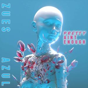 Pretty aint enough (Explicit)