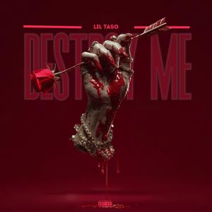 Destroy me (Explicit)