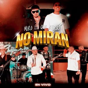 MIRO LO QUE OTROS NO MIRAN (feat. Los primos)