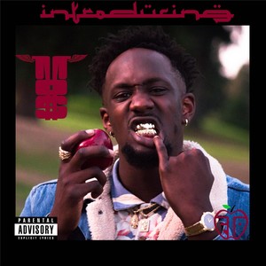 Can't Handle (Explicit)
