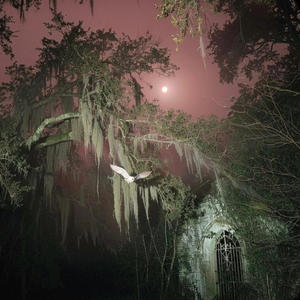 Lied 2 yu (Explicit)