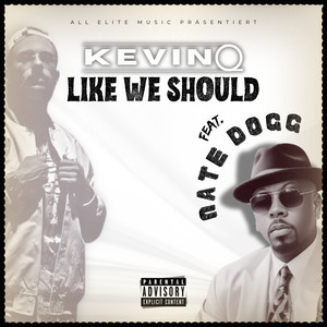 Like We Should (Explicit)