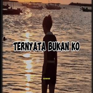 TERNYATA BUKAN KO