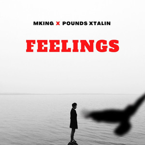 Feelings