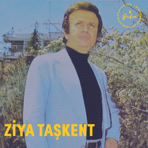 Belki Bir Gün Hatırlarsın