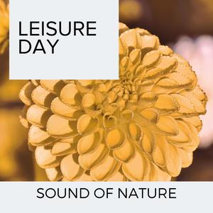 Snow Shower and Rainbow