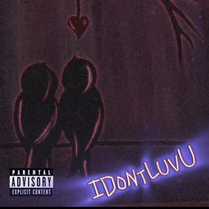 IDontLuvU (feat. Bxbym3ya & PXD) [Explicit]