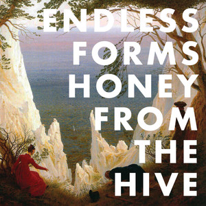 Honey from the Hive