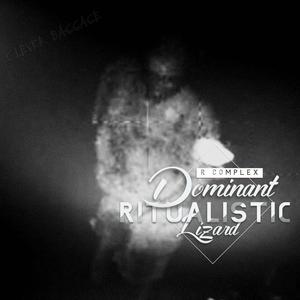 whitehole spits uni verse (VIP Edit|Explicit)