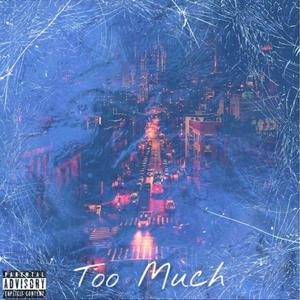 Too Much (Explicit)