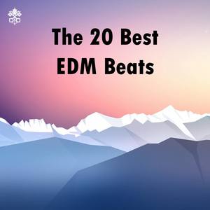 The 20 Best EDM Beats