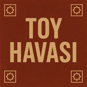 Toy Havası