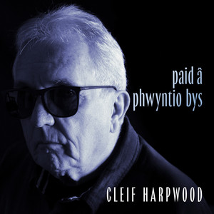 Paid â phwyntio bys