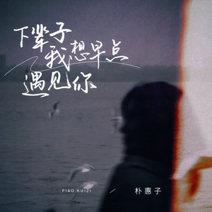 朴惠子 - 下辈子我想早点遇见你 (DJ九零版伴奏)