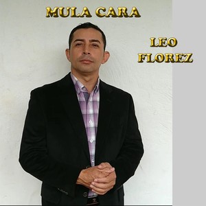 Mula Cara