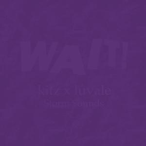 WAIT! (feat. kitz & Vale Rray) [Explicit]