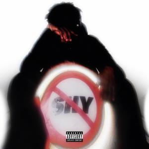 Magicien d'Oz (feat. HOUDI)