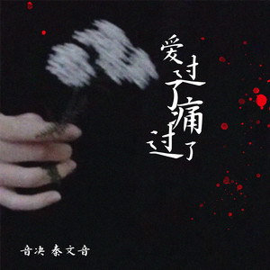 爱过了痛过了 (DJ名龙版)