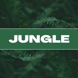 Jungle