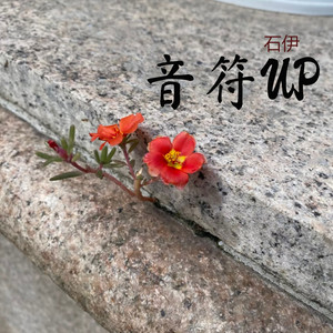 赵露思Black Veil Bride 黑头纱下破茧宣言-石伊