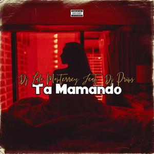 Ta Mamando (feat. Dj Prins Chicago) [Explicit]