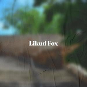 Likud Fox