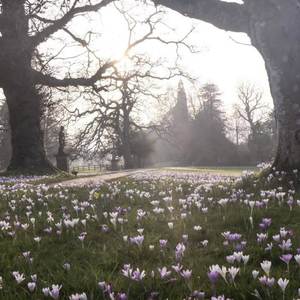 No sé si tú lo has notado