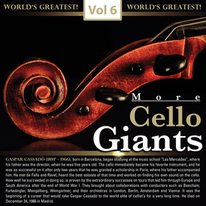 Cello Concerto in B Minor, Op. 104, B. 191 - Cello Concerto in B Minor, Op. 104, B. 191: I. Allegro