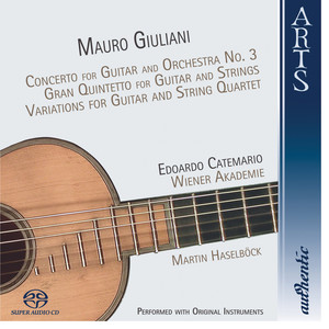 Concerto For Guitar terzina And Orchestra No. 3 in F Major Op. 70: I. Allegro moderato