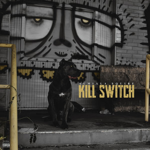 Kill Switch (Explicit)