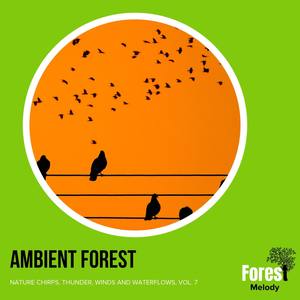 Ambient Forest - Nature Chirps, Thunder, Winds and Waterflows, Vol. 7