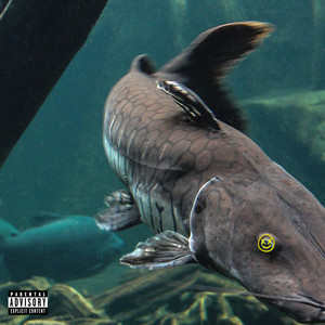 CATFISH (Explicit)