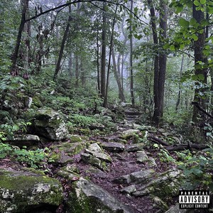 Attached (Explicit)