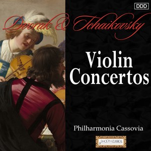 Violin Concerto in D Major, Op. 35, TH 59 - I. Allegro moderato