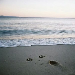 天涯（迎着太阳看着远方）-ProdbyMend&清惋