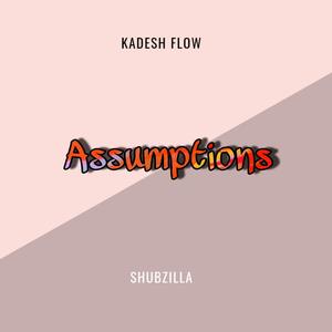 Assumptions(feat. Shubzilla) (Explicit)