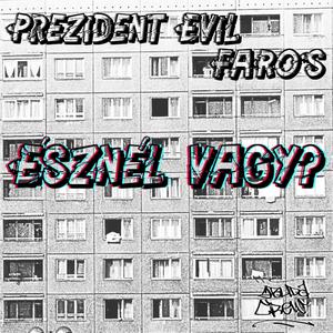 Észnél Vagy? (feat. FaRoS) (Explicit)