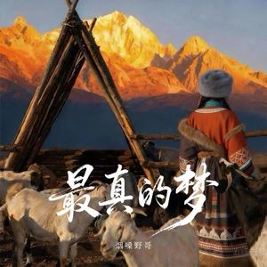 最真的梦-烟嗓野哥