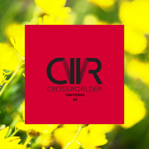 88 (Alberto Tolo Remix)