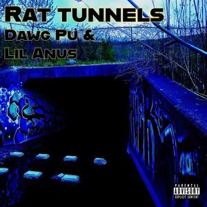 Rat Tunnels (feat. Lil Anus) [Explicit]