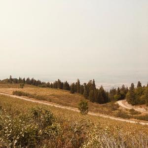 The Way We're Living Now (feat. Cayson Renshaw)